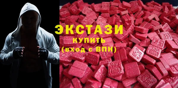ECSTASY Бородино