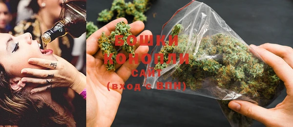 ECSTASY Бородино